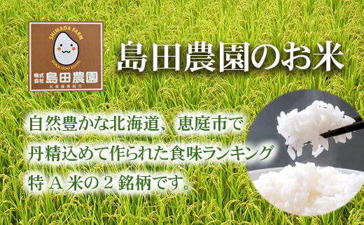 【定期便6ヶ月】北海道米「恵庭産たつやのななつぼし・ゆめぴりか」各5kgセット【560004】