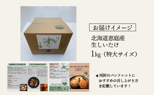 【先行予約】《数量限定》北海道恵庭産生しいたけ1kg（特大サイズ）【800004】
