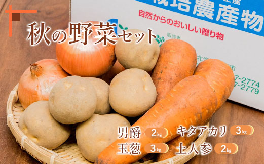 秋の野菜4品セット【31000601】