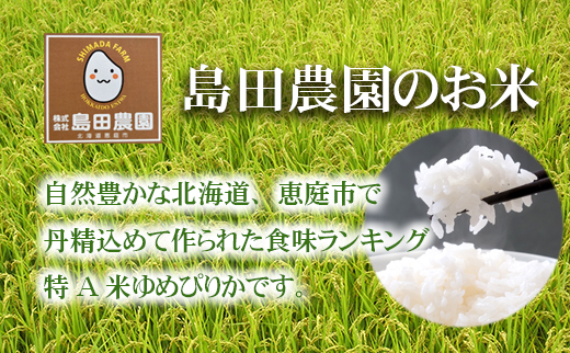 【定期便6ヶ月】北海道米「恵庭産たつやのゆめぴりか」5kg×2袋【560005】