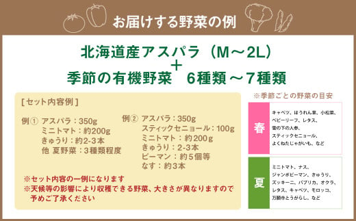 北海道産アスパラと季節の有機野菜セット 【2025年4月下旬～8月下旬迄発送予定】 北海道 北広島市 野菜セット アスパラ 有機野菜 