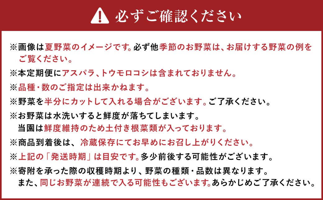 【有機JAS認定】【8ヶ月定期便】 季節の野菜詰め合わせ ～有機野菜セットA～