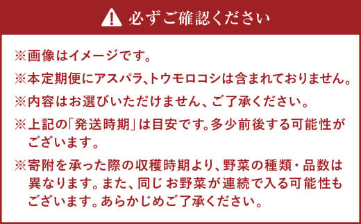 【有機JAS認定】【11ヶ月定期便】 季節の野菜詰め合わせ ～有機野菜セットB～