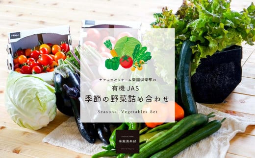 【有機JAS認定】【5ヶ月隔月定期便】 季節の野菜詰め合わせ ～有機野菜セットB～ 15種類～18種類 季節 野菜 野菜セット 有機野菜 有機 詰め合わせ セット