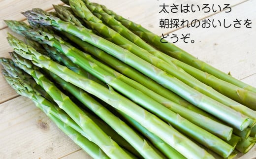 北海道産アスパラと季節の有機野菜セット 【2025年4月下旬～8月下旬迄発送予定】 北海道 北広島市 野菜セット アスパラ 有機野菜 