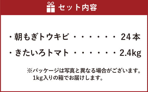 きたいろトマト （2.4kg）と 朝もぎトウキビ （24本）のセット 【2025年8月上旬～9月上旬発送迄予定】 トマト とうもろこし トウモロコシ 野菜 朝採れ オーガニック