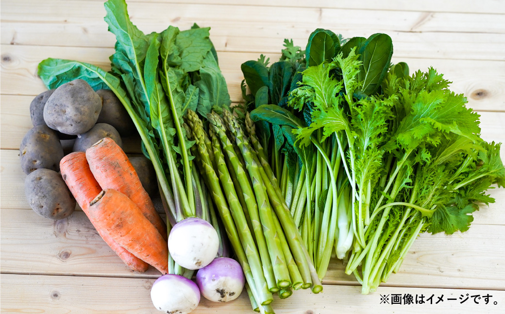 【12ヶ月定期便】 おまかせ旬野菜セット 旬 野菜 セット 北海道 北広島市
