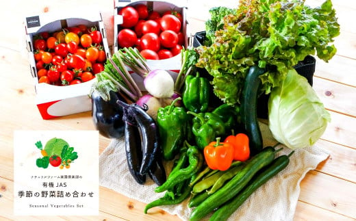 【有機JAS認定】【2ヶ月隔月定期便】 季節の野菜詰め合わせ ～有機野菜セットB～ 15種類～18種類 季節 野菜 野菜セット 有機野菜 有機 詰め合わせ セット