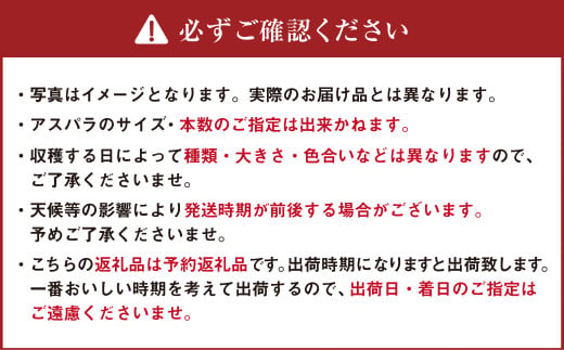 アスパラ 約2kg M～2L 【2025年4月下旬～6月下旬迄発送予定】