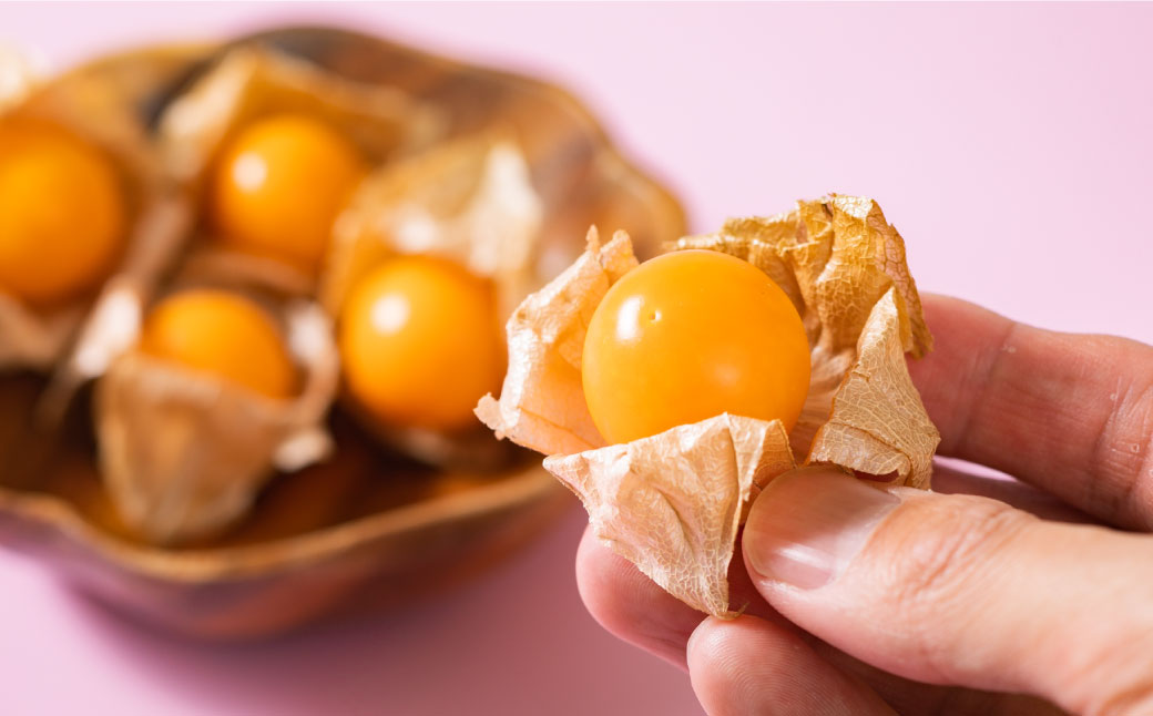 【2023年10月下旬発送開始】 北海道 自然栽培 GOLDEN BERRY フルーツ ほおずき スーパーフード 自然栽培