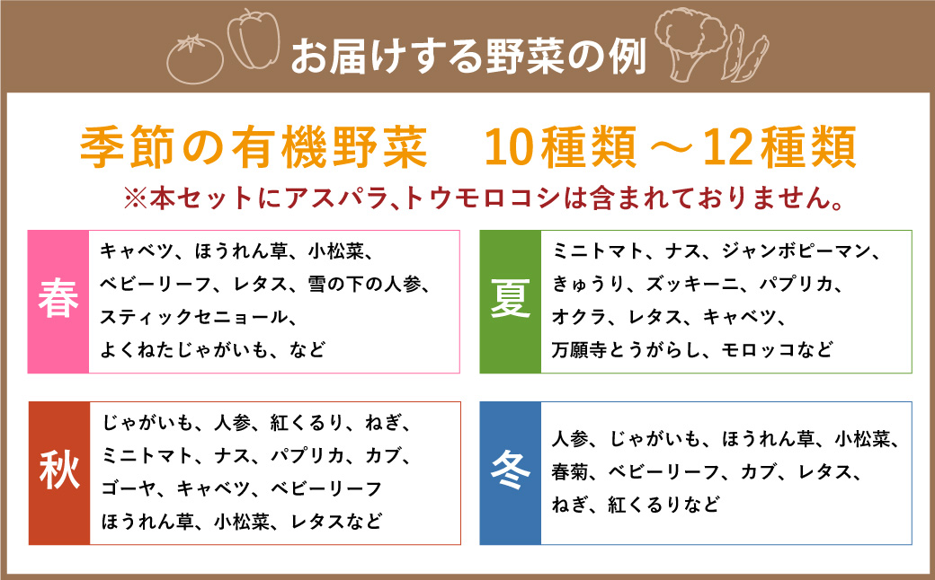 【有機JAS認定】季節の野菜 詰め合わせ 10種類〜12種類程度 有機野菜セットA 北海道北広島市