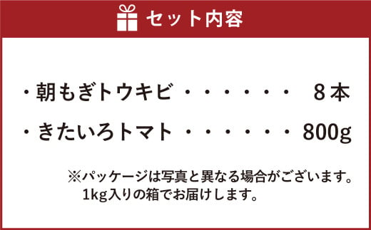 きたいろトマト 800g 朝もぎトウキビ 8本 セット 【2025年8月上旬～9月上旬迄発送予定】 トマト とうもろこし トウモロコシ 野菜 朝採れ オーガニック