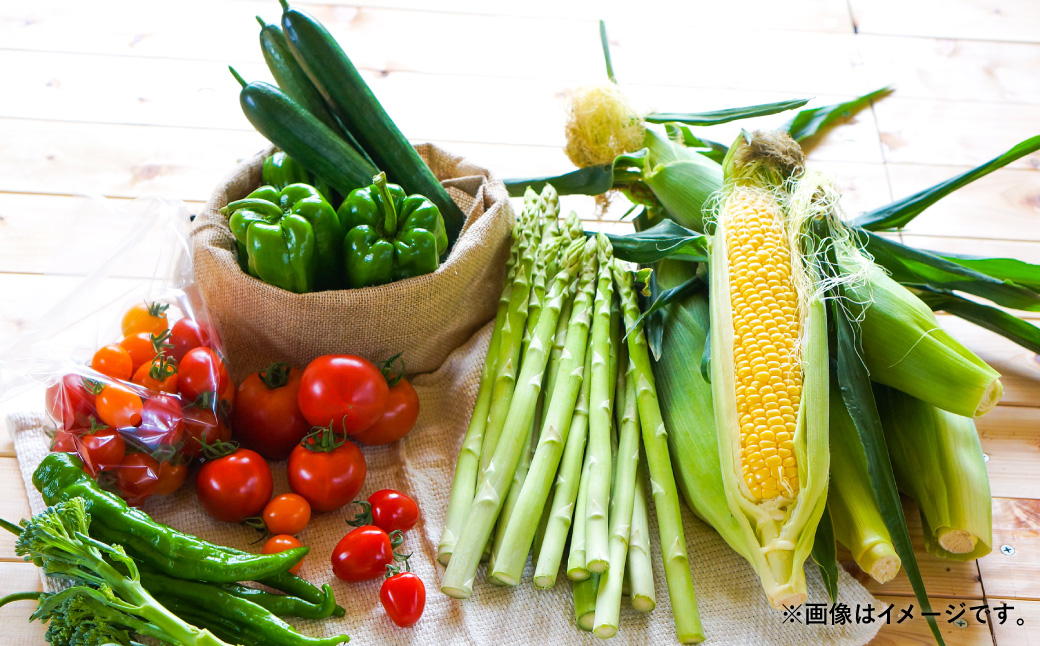 おまかせ旬野菜セット 旬 野菜 セット 北海道 北広島市