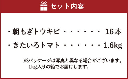 きたいろトマト （1.6kg）と 朝もぎトウキビ （16本）のセット 【2025年8月上旬～9月上旬発送迄予定】 トマト とうもろこし トウモロコシ 野菜 朝採れ オーガニック