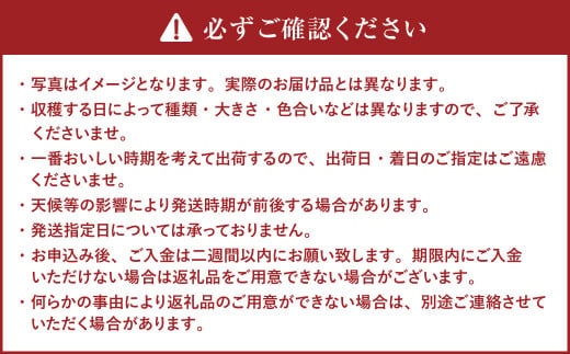 新じゃが きたあかり 約10kg 【2024年9月下旬～2025年3月上旬発送予定】