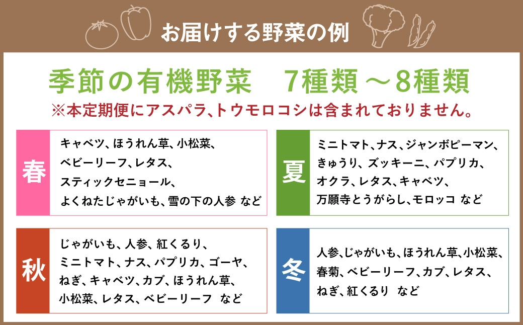 【12ヶ月定期便】有機JAS認定 季節の野菜詰め合わせ ～有機野菜セットC～ 