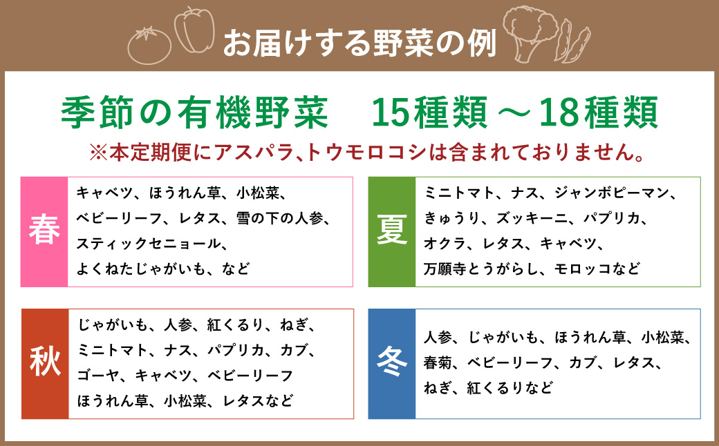 【3ヶ月定期便】有機JAS認定 季節の野菜 詰め合わせ〜有機野菜セットB〜 北海道北広島市