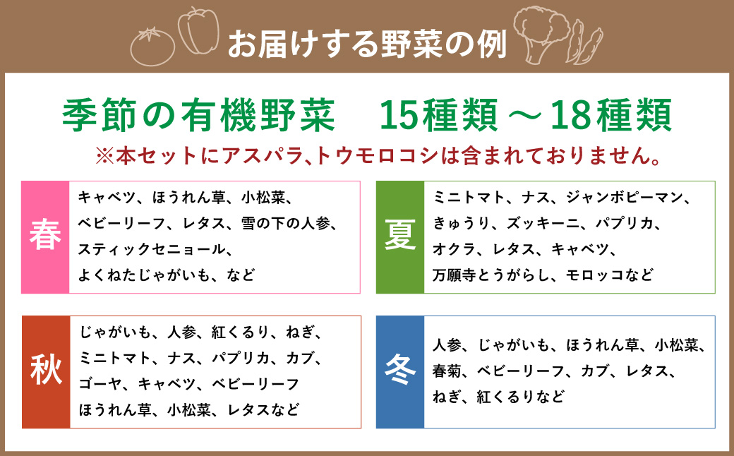 【有機JAS認定】季節の野菜 詰め合わせ 15種類〜18種類程度 〜有機野菜セットB〜 北海道北広島市