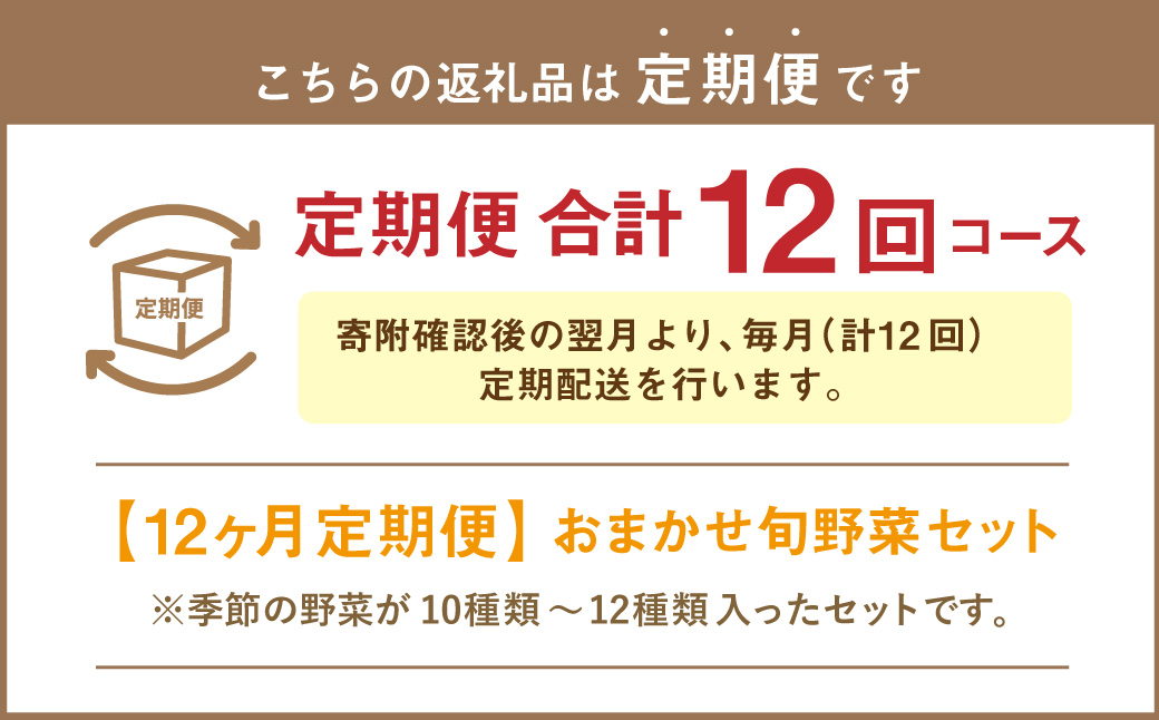 【12ヶ月定期便】 おまかせ旬野菜セット 旬 野菜 セット 北海道 北広島市