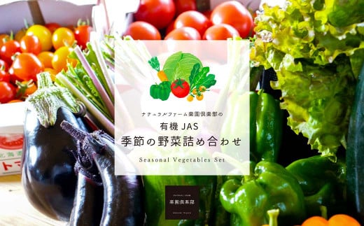 【有機JAS認定】【6ヶ月隔月定期便】 季節の野菜詰め合わせ ～有機野菜セットB～ 15種類～18種類 季節 野菜 野菜セット 有機野菜 有機 詰め合わせ セット