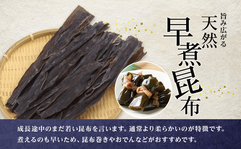 北海道産 ひじき わかめ 早煮昆布 セット 各1袋 ひじ輝 ヒジキ 昆布 こんぶ コンブ ワカメ ミネラル 食物繊維 和食 出汁 だし サラダ スープ 煮物 佃煮 昆布巻き 和え物  