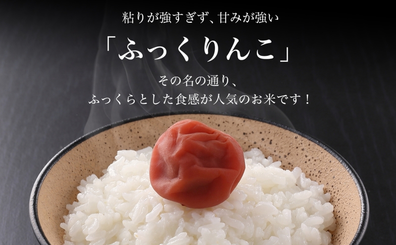 北海道 定期便 3ヵ月連続3回 木古内産 ふっくりんこ 5kg 特A 精米 米 お米 白米 北海道米 道産米 ブランド米 ごはん ご飯 ふっくら 産地直送 木古内公益振興社 送料無料