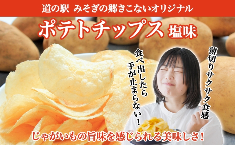 北海道 オリジナル ポテトチップス 60g 12袋 塩味 道の駅 オリジナル パッケージ ポテチ しお じゃがいも ジャガイモ 馬鈴薯 お菓子 スナック おやつ おつまみ あっさり ポテトチップス みそぎの郷きこない ご当地 送料無料 木古内