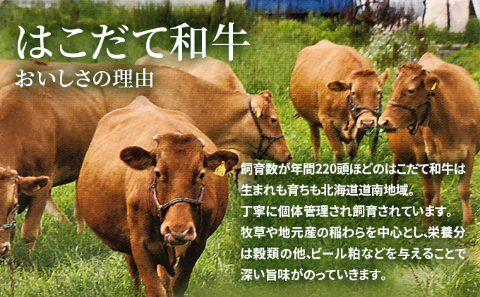 牛肉 定期便 2ヶ月 はこだて和牛 ブロック肉 4.8kg ( 2.4kg × 2回 ) 和牛 あか牛 小分け 北海道 煮込み料理用