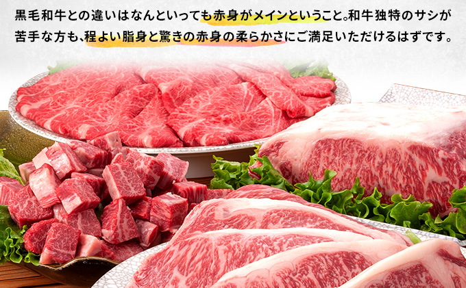 牛肉 定期便 2ヶ月 はこだて和牛 ブロック肉 4.8kg ( 2.4kg × 2回 ) 和牛 あか牛 小分け 北海道 煮込み料理用