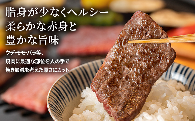 はこだて和牛 焼肉 切り落とし 木古内町地酒 セット 日本酒 辛口 純米酒 牛肉 和牛 あか牛 北海道