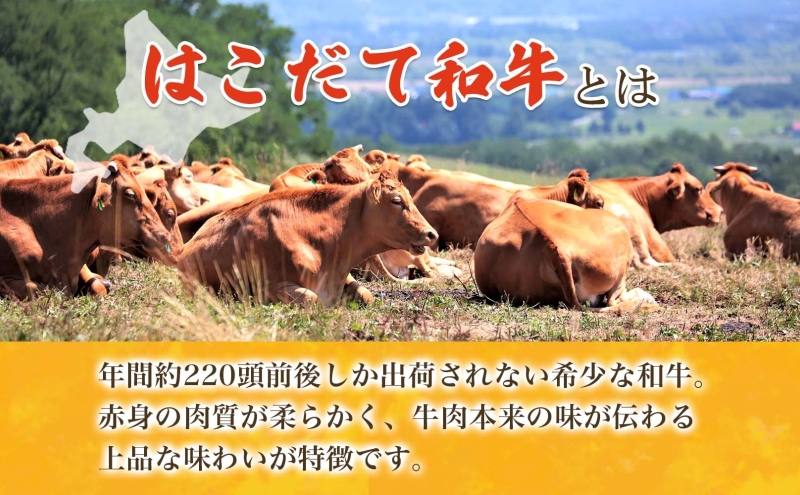  北海道 みそぎの郷 ハンバーグ 6個 ソース 付き 北海道産 和牛 はこだて和牛 あか牛 牛肉 豚肉 ビーフ ポーク 合挽 肉汁 ジューシー 本格 希少 国産 洋食 時短 簡単 人気 おかず 惣菜 個包装 お取り寄せ ギフト 冷凍 サンメイト 送料無料