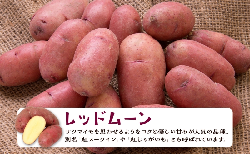 北海道産 じゃがいも レッドムーン 5kg 北海道 ジャガイモ ポテト 芋 いも イモ 紅じゃがいも メークイン 馬鈴薯 旬 野菜 農作物 産地直送 根菜 秋山農園 送料無料