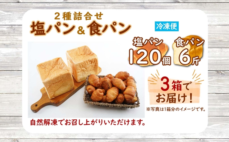 北海道 パン 2種 詰合せ 塩パン 120個 食パン 6斤 北海道産 小麦 パン トースト 手作り 自家製 焼きたて ベーカリー 朝食 朝ごはん 軽食 モーニング 冷凍 お取り寄せ 食べ比べ セット 人気 行列 ギフト 贈答用 コッぺん道土 送料無料