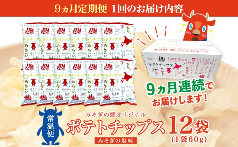 定期便 全9回北海道 オリジナル ポテトチップス 60g 12袋 塩味 道の駅 オリジナル パッケージ ポテチ しお じゃがいも ジャガイモ お菓子 スナック おやつ おつまみ あっさり ポテトチップス みそぎの郷 ご当地 送料無料 木古内