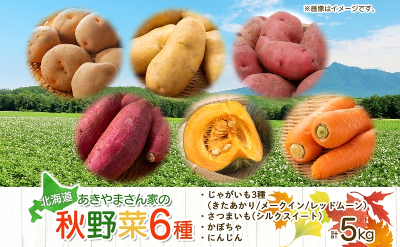 【 ふるさと納税 】 北海道産 秋野菜 詰め合わせ 6種 計5kg じゃがいも きたあかり メークイン レッドムーン さつまいも シルクスイート にんじん かぼちゃ 旬 野菜 やさい 常備菜 産地直送 送料無料  お届け：2024年10月上旬～11月中旬まで【 木古内町 】 