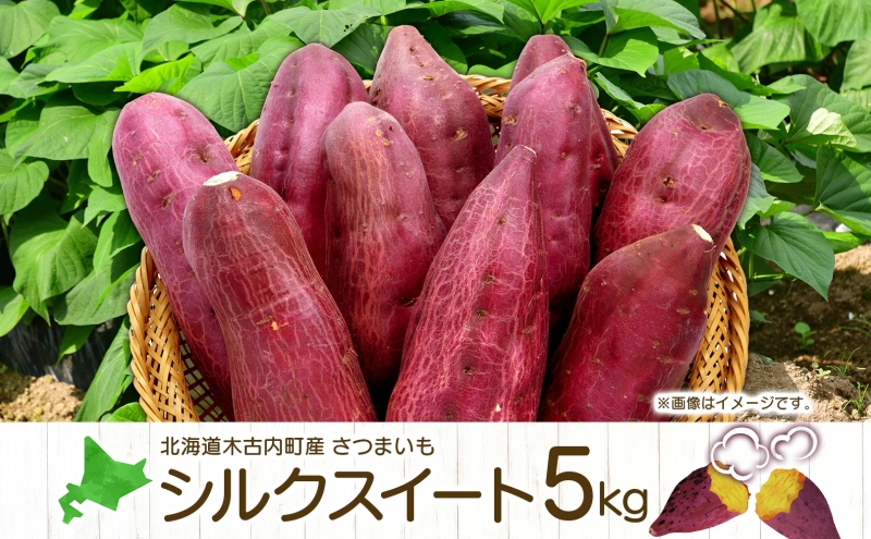 【 ふるさと納税 】 北海道産 さつまいも 5kg シルクスイート サツマイモ 北海道 芋 いも 野菜 やさい 新鮮 採れたて 甘い しっとり 焼き芋 煮物 大学芋 天ぷら 常備菜 旬 秋野菜 産地直送 送料無料 お届け：2024年10月上旬～11月中旬まで【 木古内町 】