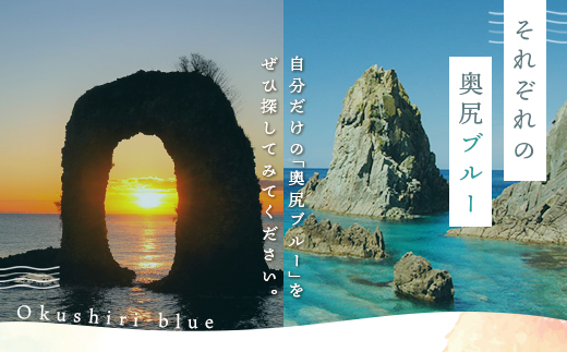 【2025年度先行予約】北海道奥尻産「キタムラサキウニ」50g (塩水パック)【期日指定不可】  OKUH024