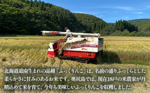 令和6年産奥尻産米「ふっくりんこ」10kg入り OKUI002