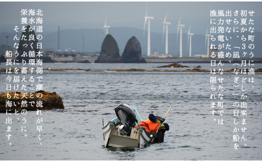 【2025年6月中旬から順次発送】【北海道せたな町産】生鮮生うに(150g×3パック)