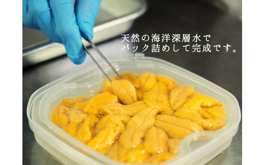 【2025年6月中旬から順次発送】【北海道せたな町産】生鮮生うに(150g×3パック)