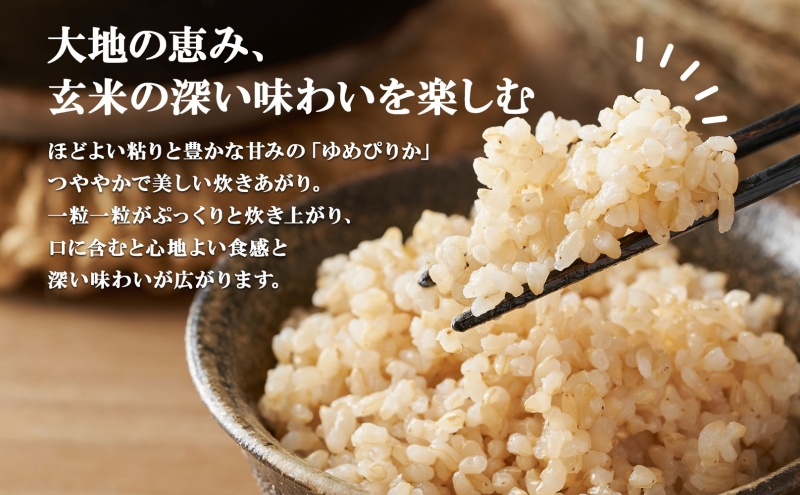 北海道産 ゆめぴりか 玄米 3kg×2袋 計6kg 小分け 米 特A 国産 ごはん グルメ 食物繊維 ヘルシー お取り寄せ 備蓄 長期保存 プレゼント 贈答 ギフト ようてい農業協同組合 ホクレン 送料無料 北海道 倶知安町