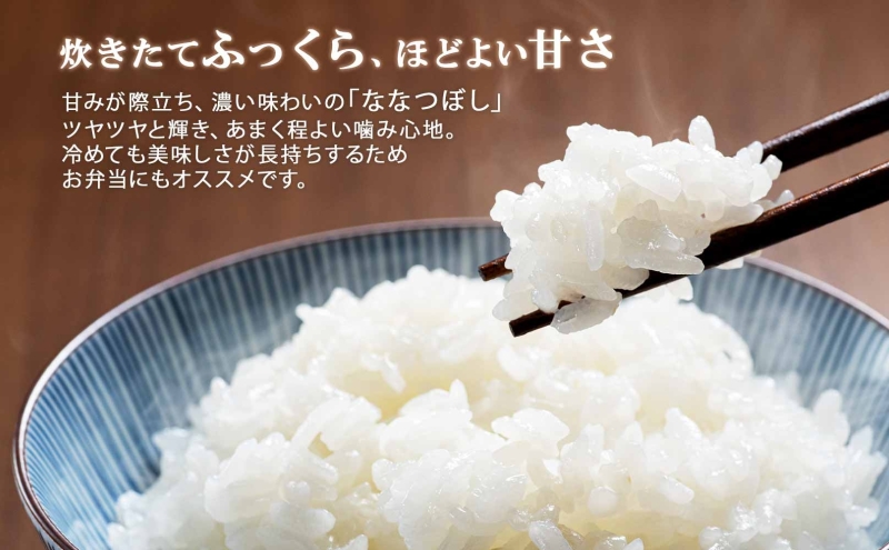 定期便 6ヵ月連続6回 北海道産 ななつぼし 精米 5kg 米 特A 白米 お取り寄せ ごはん 道産米 ブランド米 5キロ おまとめ買い お米 ふっくら ようてい農業協同組合 ホクレン 送料無料 北海道 倶知安町