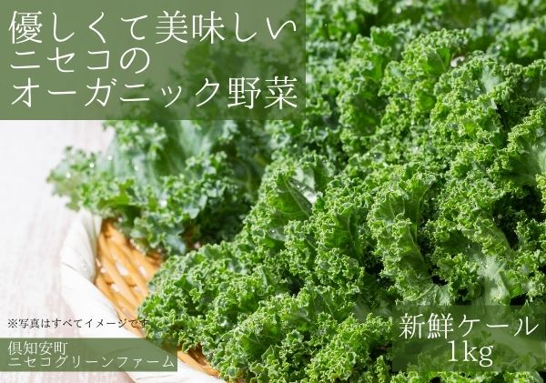 数量限定 北海道 ニセコ 旬の有機栽培野菜 ケール 1kg お取り寄せ スムージー 予約注文 北国からの贈り物 ふるさとパレット 東急グループのふるさと納税