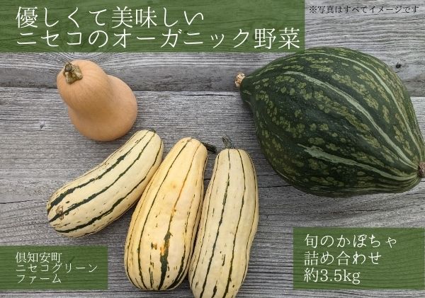 数量限定 北海道 ニセコ 旬の有機栽培野菜 かぼちゃ ミニバターナッツ デリカタ ロロン 約3 5kgセット 詰合せ ふるさとパレット 東急グループのふるさと納税