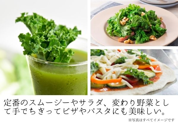 数量限定 北海道 ニセコ 旬の有機栽培野菜 ケール 1kg お取り寄せ スムージー 予約注文 北国からの贈り物 ふるさとパレット 東急グループのふるさと納税