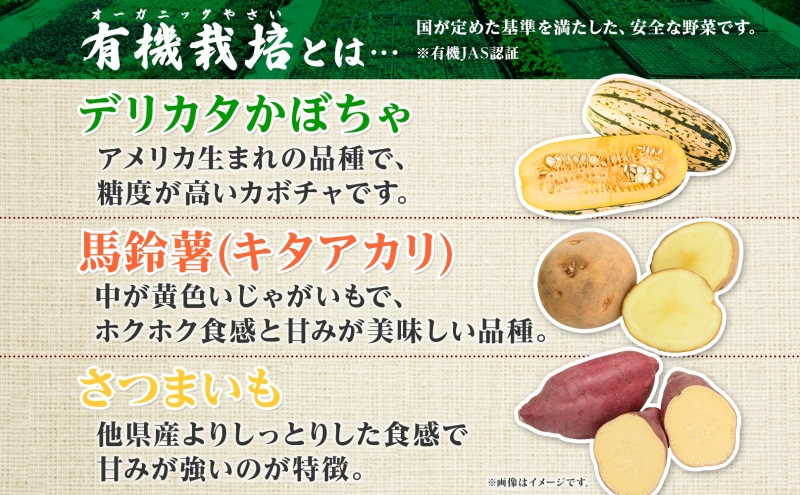 北海道 オーガニック 秋の味覚 かぼちゃじゃがいも さつまいも 約5kg デリカタ カボチャ キタアカリ 馬鈴薯 ポテト 有機野菜 JAS 産直 産地直送