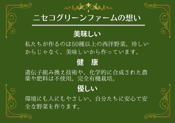 数量限定 北海道 ニセコ 旬の有機栽培野菜 ケール 1kg お取り寄せ スムージー 予約注文 北国からの贈り物 ふるさとパレット 東急グループのふるさと納税