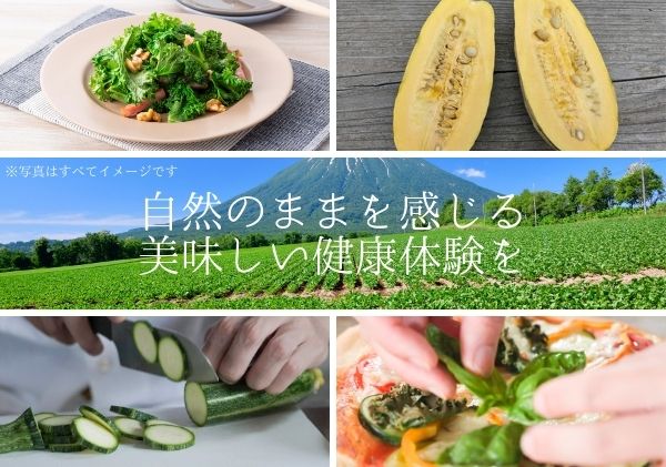 【数量限定】北海道 ニセコ 旬の有機栽培野菜セット 定期配送4回分  オーガニック 野菜詰め合わせ お取り寄せ グルメ