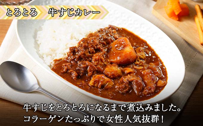 【定期便】毎月1回 計3回 カレー 4種 食べ比べ 4個 中辛 チキンレッグ スープカレー レトルト 業務用 北海道 倶知安町 【定期便・チキンカレー・ビーフカレー】 