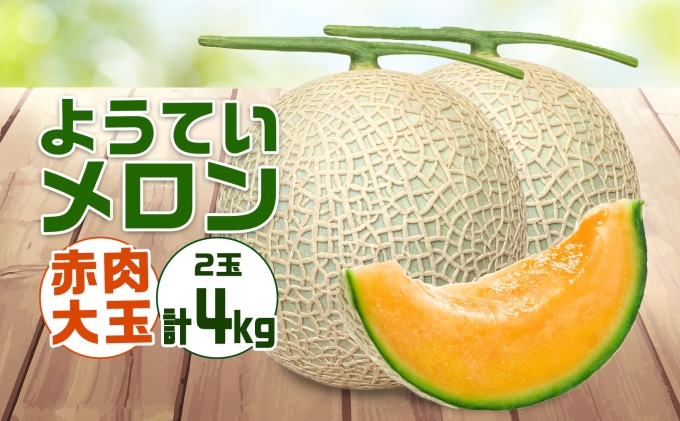 北海道 赤肉メロン 約2kg 2玉 メロン 赤肉 果物 フルーツ 甘い 完熟